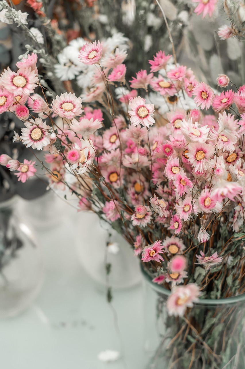 everlasting flowers, flower, beautiful flowers, bloom, pink, dry flower, nature, natural cosmetics, flower background, naturopathy, decoration, bunch of flowers, vase, romantic, beautiful, fragrance, happy mothers day, floral greeting, flower wallpaper, valentines day